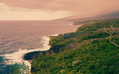Saint-André, à La Réunion : mon guide des 10 activités incontournables